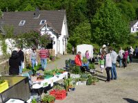 Pflanzen- & Gartenflohmarkt in Altwindeck