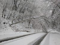 [Update 11.12.2017] Sperrung der L333 zwischen Herchen und Hoppengarten