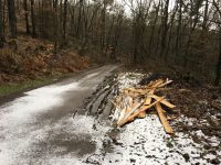 Vandalismus und Müllablagerung in der Gemarkung Pracht