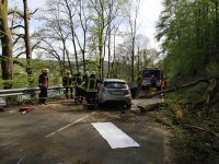 Baum stürzt auf Auto: Fahrerin auf L 333 tödlich verunglückt