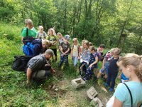 Verbundschule an der Sieg – Standort Dattenfeld: Ausflug in den Wald