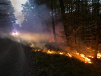 Waldbrände zwischen Schladern und Dattenfeld und in Wilberhofen
