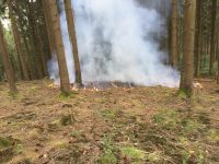Erneut Waldbrand bei Wilberhofen – 150m² in Brand geraten
