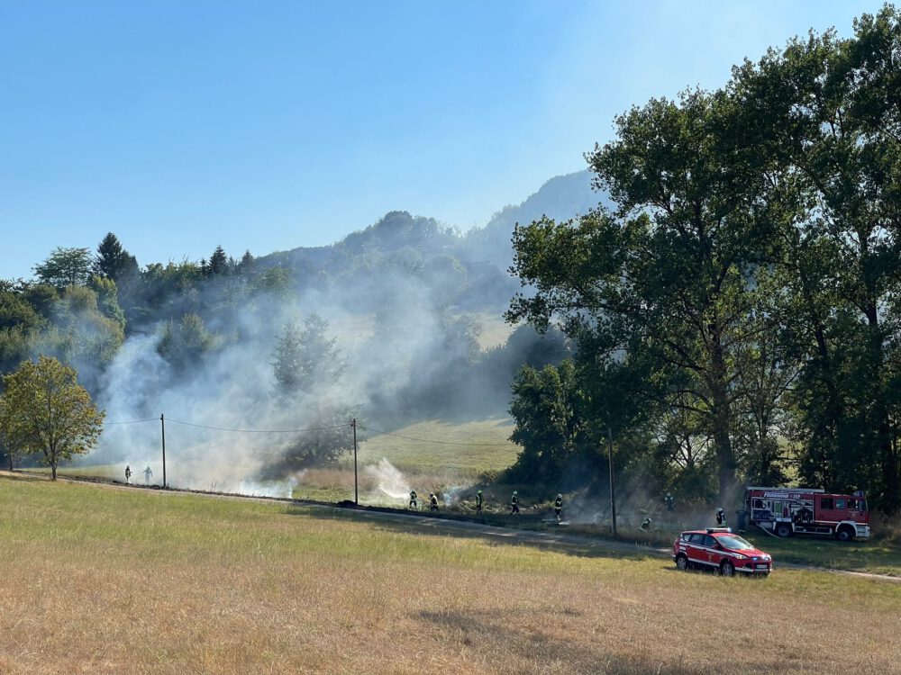 Wiesenbrand in Pracht – Freiwillige Feuerwehr Hamm in Pracht im Einsatz 