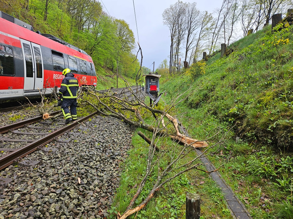 Zug kollidiert mit Baum – mehrere Hundert Fahrgäste verharrten Stunden im Zug