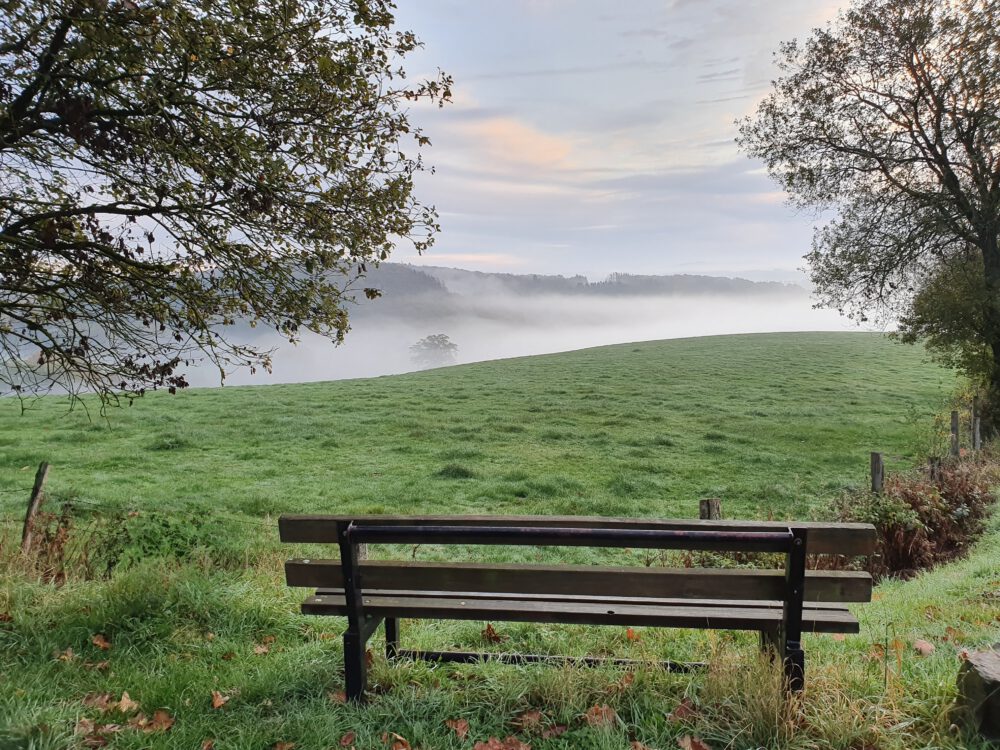Brainwalking rund um den Höhenort Windeck-Halscheid