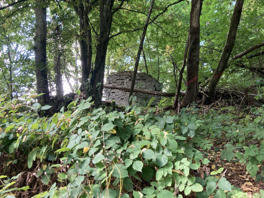 Literarische Kurzwanderung zur Wüstung Kölschbach