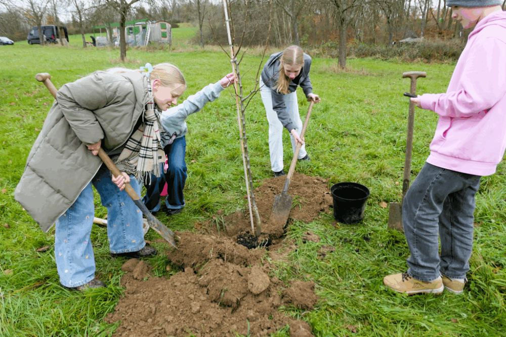 Baumpflanz-Challenge geschafft!