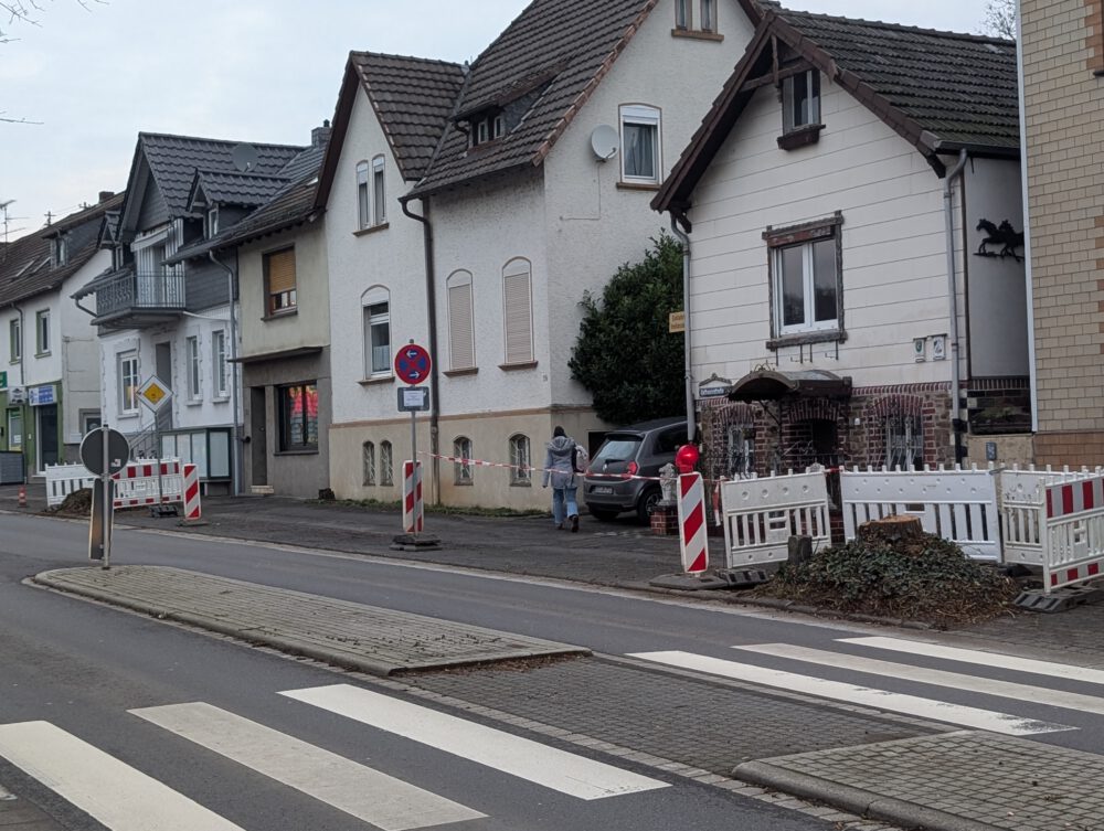 Kahlschlag in Rosbach: Warum die alten Rathausstraßen-Bäume weichen mussten